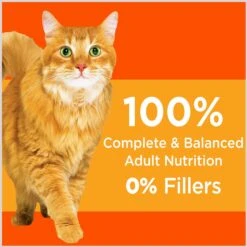 Iams ProActive Health Healthy Adult Original With Chicken Dry Cat Food & Greenies Feline SmartBites Healthy Skin & Fur Natural Chicken Flavor Soft & Crunchy Adult Cat Treats -Furry Friends 298108 PT8. AC SS1800 V1691776231