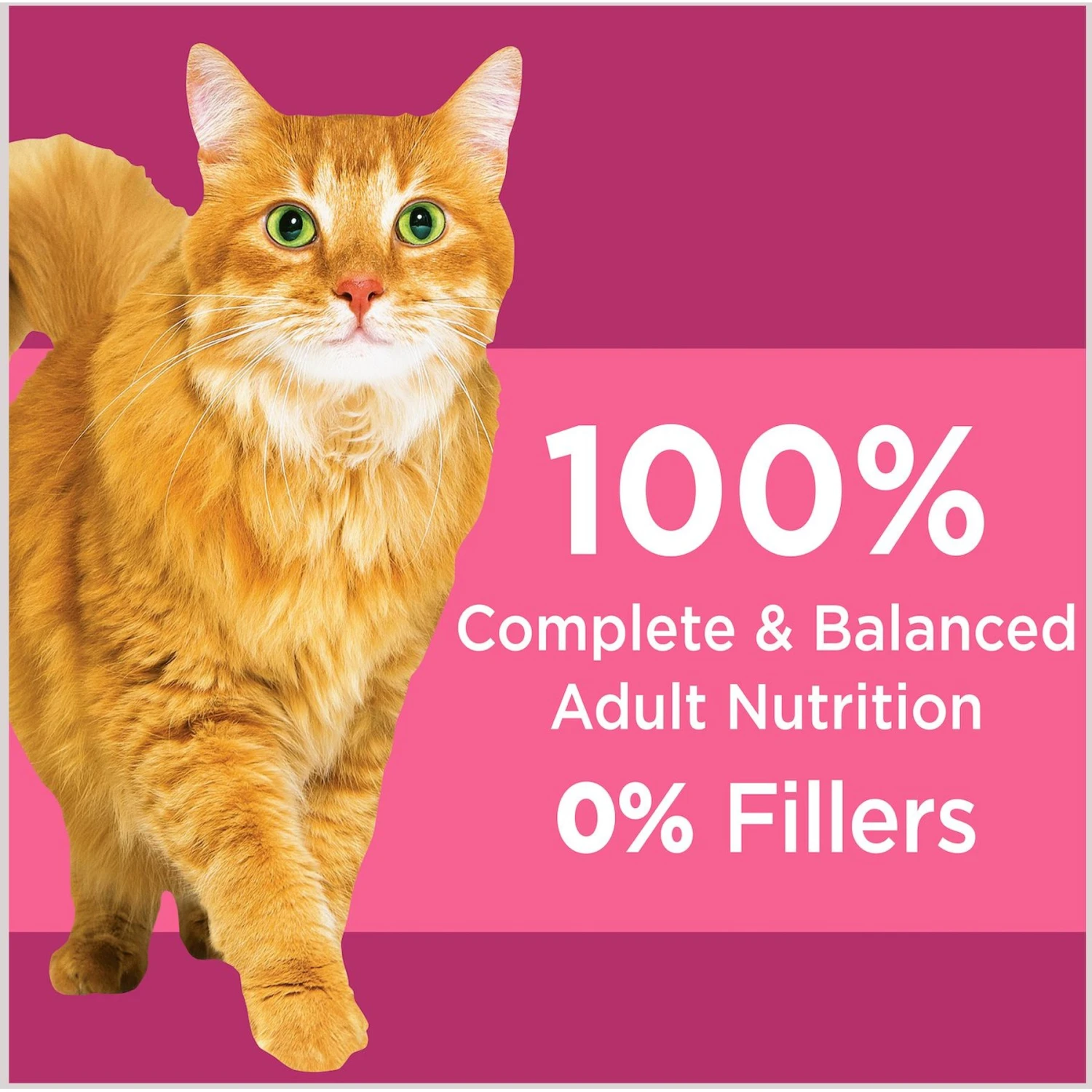 Iams ProActive Health Urinary Tract Health With Chicken Adult Dry Cat Food & Greenies Feline SmartBites Healthy Skin & Fur Natural Chicken Flavor Soft & Crunchy Adult Cat Treats 11 Iams ProActive Health Urinary Tract Health With Chicken Adult Dry Cat Food & Greenies Feline SmartBites Healthy Skin & Fur Natural Chicken Flavor Soft & Crunchy Adult Cat Treats - Image 9