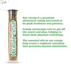 Meowijuana Catnip Pawty Mix, 60-g Jar & Meowijuana Refillable Get Buzzed Catnip Bee Cat Toy -Furry Friends 298212 PT8. AC SS1800 V1621303640