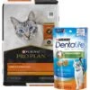 Purina Pro Plan Chicken & Rice Formula With Probiotics High Protein Cat Food & DentaLife Tasty Chicken Flavor Dental Cat Treats -Furry Friends 298438 MAIN. AC SS1800 V1623193058