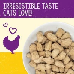 Stella & Chewy's Chick Chick Chicken Dinner Morsels Freeze-Dried Raw Cat Food & Stella & Chewy's Stella's Solutions Digestive Boost Chicken Freeze-Dried Raw Cat Food, 7.5-oz Bag -Furry Friends 298524 PT6. AC SS1800 V1621295255