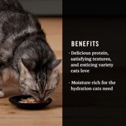 Tiki Cat Luau Velvet Mousse Variety Pack Grain-Free Wet Cat Food, 2.8-oz Pouch, Case Of 12 & American Journey Landmark Broths Tuna, Shrimp & Whitefish Recipe Wet Cat Food Complement Pouches, 1.4 Oz Case Of 16 -Furry Friends 298552 PT8. AC SS1800 V1701115717