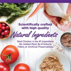 Wellness Complete Health Kitten Chicken Entree Recipe Natural Canned Cat Food & Wellness Complete Health Natural Grain-Free Deboned Chicken & Chicken Meal Dry Kitten Food 12 Wellness Complete Health Kitten Chicken Entree Recipe Natural Canned Cat Food & Wellness Complete Health Natural Grain-Free Deboned Chicken & Chicken Meal Dry Kitten Food -Furry Friends 298660 PT2. AC SS1800 V1621990640