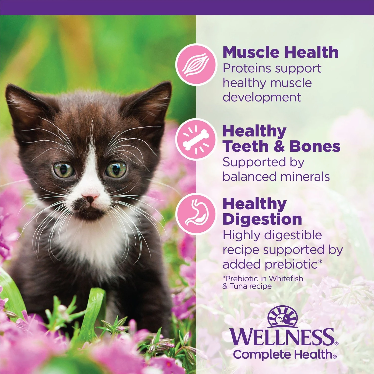 Wellness Complete Health Kitten Chicken Entree Recipe Natural Canned Cat Food & Wellness Complete Health Natural Grain-Free Deboned Chicken & Chicken Meal Dry Kitten Food 7 Wellness Complete Health Kitten Chicken Entree Recipe Natural Canned Cat Food & Wellness Complete Health Natural Grain-Free Deboned Chicken & Chicken Meal Dry Kitten Food - Image 5