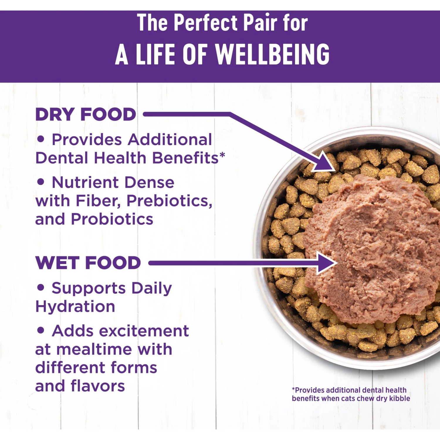Wellness Complete Health Pate Chicken Entree Grain-Free Natural Canned Cat Food & Wellness Complete Health Natural Grain-Free Salmon & Herring Dry Cat Food 6 Wellness Complete Health Pate Chicken Entree Grain-Free Natural Canned Cat Food & Wellness Complete Health Natural Grain-Free Salmon & Herring Dry Cat Food - Image 4