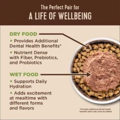 Wellness CORE Natural Grain-Free Turkey & Chicken Liver Pate Canned Kitten Food & Wellness CORE Grain-Free Salmon, Whitefish & Herring Pate Canned Kitten & Cat Food -Furry Friends 298714 PT3. AC SS1800 V1621982272