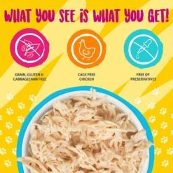 Weruva Paw Lickin' Chicken In Gravy Grain-Free Canned Cat Food & Weruva Mideast Feast With Grilled Tilapia In Gravy Grain-Free Canned Cat Food -Furry Friends 298764 PT2. AC SS1800 V1621289871