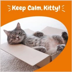 Zesty Paws Calming Bites Bacon Flavored Soft Chews Supplement For Cats & Zesty Paws Wild Alaskan Salmon Oil Liquid Skin & Coat Supplement For Dogs & Cats -Furry Friends 298794 PT6. AC SS1800 V1697138530