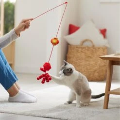 Frisco Lunar New Year Firecracker & Lantern Teaser Cat Toy With Catnip -Furry Friends 298901 PT3. AC SS1800 V1640269210