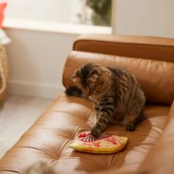 Frisco Lunar New Year Fan Plush Cat Toy With Catnip -Furry Friends 298911 PT3. AC SS1800 V1640269039