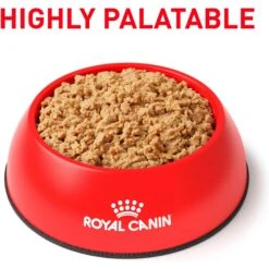 Royal Canin Veterinary Diet Adult Gastrointestinal Loaf In Sauce Canned Cat Food -Furry Friends 299279 PT2. AC SS1800 V1692048532