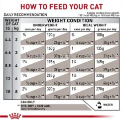 Royal Canin Veterinary Diet Adult Gastrointestinal Loaf In Sauce Canned Cat Food -Furry Friends 299279 PT8. AC SS1800 V1691702089