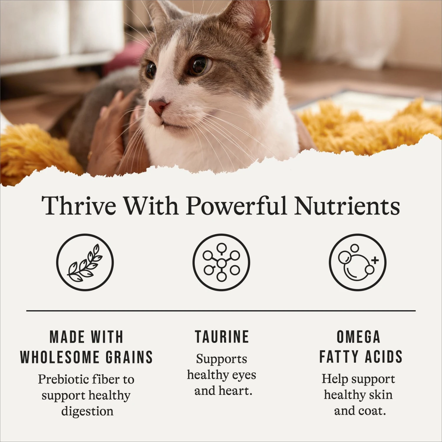 American Journey Sensitive Stomach Total Health Formula Chicken & Brown Rice Recipe Dry Cat Food, 15lb Bag 7 American Journey Sensitive Stomach Total Health Formula Chicken & Brown Rice Recipe Dry Cat Food, 15lb Bag - Image 5