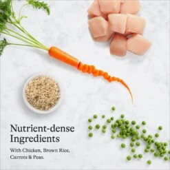 American Journey Sensitive Stomach Total Health Formula Chicken & Brown Rice Recipe Dry Cat Food, 15lb Bag 16 American Journey Sensitive Stomach Total Health Formula Chicken & Brown Rice Recipe Dry Cat Food, 15lb Bag -Furry Friends 299542 PT5. AC SS1800 V1680787069