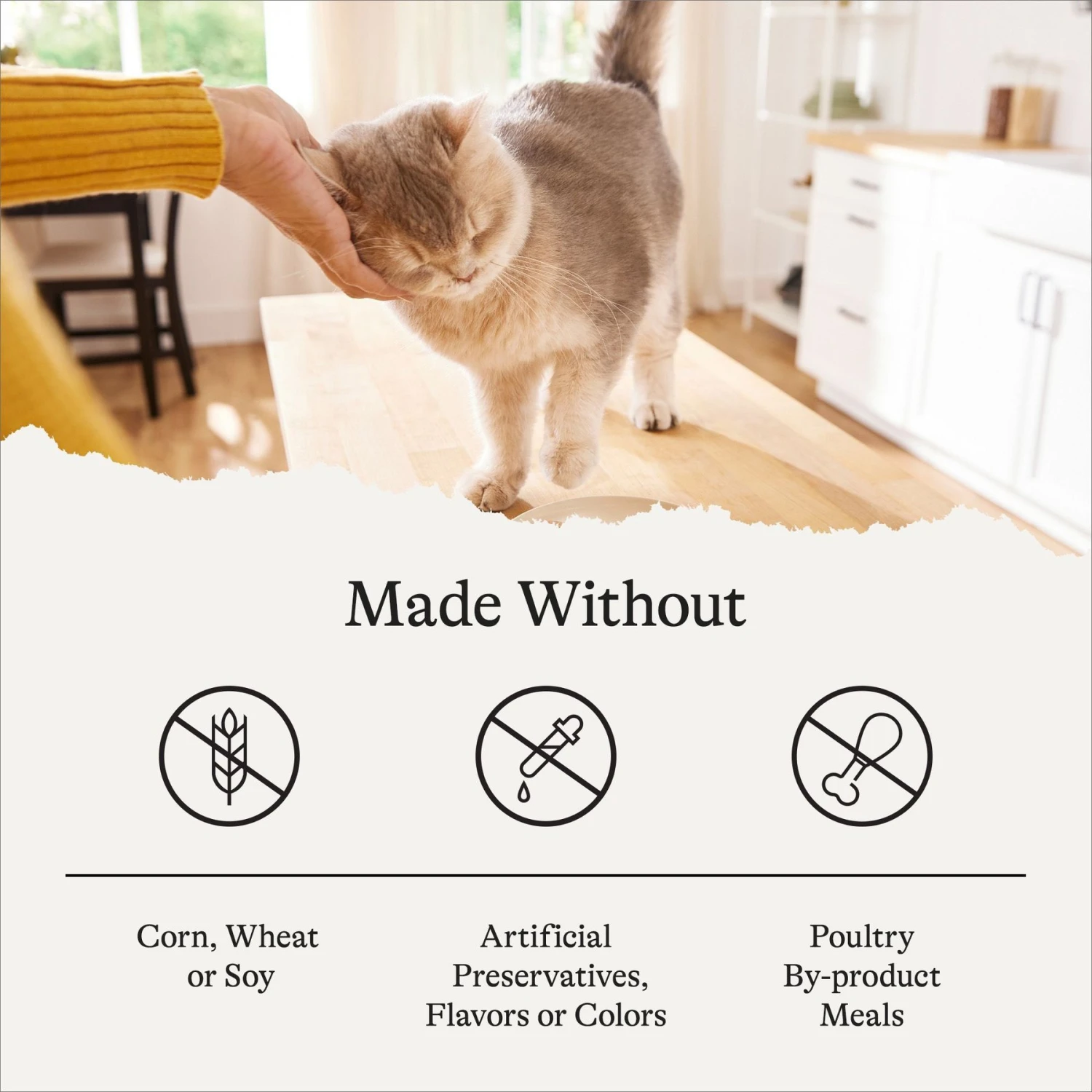 American Journey Sensitive Stomach Total Health Formula Chicken & Brown Rice Recipe Dry Cat Food, 15lb Bag 9 American Journey Sensitive Stomach Total Health Formula Chicken & Brown Rice Recipe Dry Cat Food, 15lb Bag - Image 7