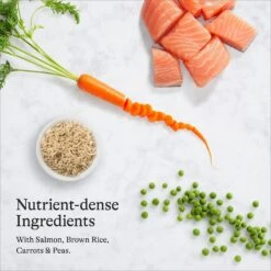 American Journey Sensitive Stomach Total Health Formula Salmon & Brown Rice Recipe Dry Cat Food, 15lb Bag -Furry Friends 299544 PT5. AC SS1800 V1680787100