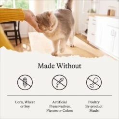 American Journey Sensitive Stomach Total Health Formula Salmon & Brown Rice Recipe Dry Cat Food, 15lb Bag -Furry Friends 299544 PT6. AC SS1800 V1680787067