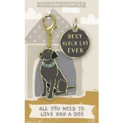 Primitives By Kathy Lab Black Charm, 2 Count
