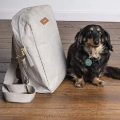 Primitives By Kathy Dachshund Charm, 2 Count -Furry Friends 300944 PT3. AC SS1800 V1622597241