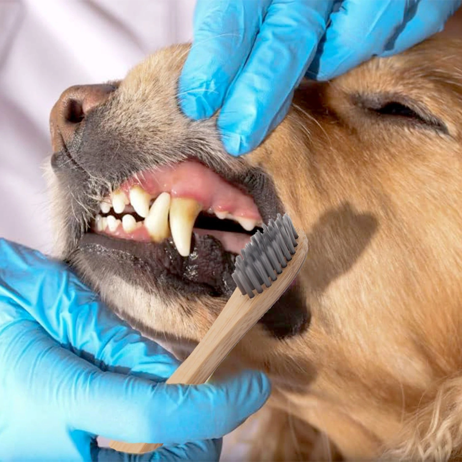 H&H Pets Eco-Friendly Bamboo Dog & Cat Toothbrush 6 H&H Pets Eco-Friendly Bamboo Dog & Cat Toothbrush - Image 4