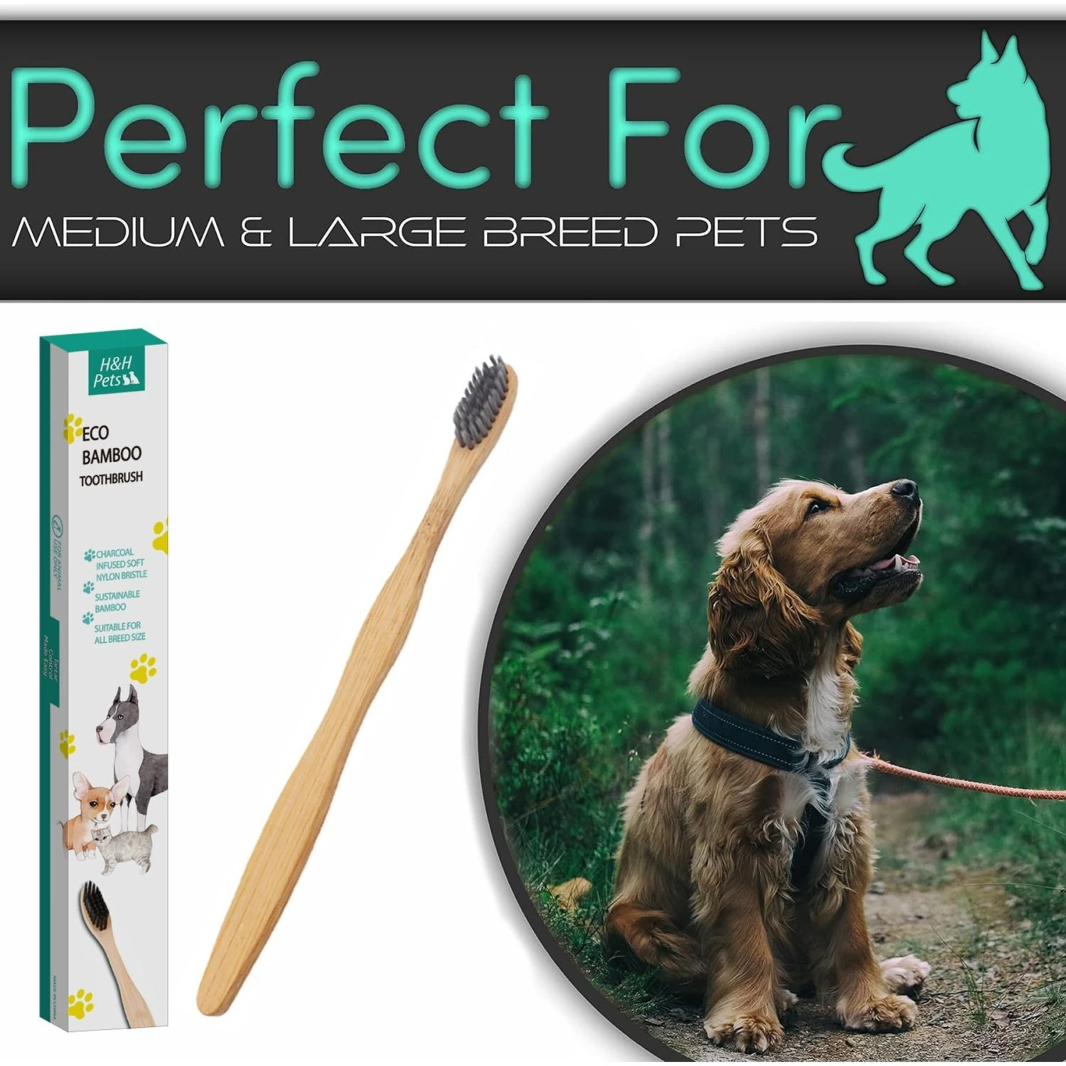 H&H Pets Eco-Friendly Bamboo Dog & Cat Toothbrush 7 H&H Pets Eco-Friendly Bamboo Dog & Cat Toothbrush - Image 5