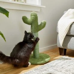 Frisco Cactus Cat Scratching Post & Frisco Dangly Avocado Buddy Plush Cat Toy With Catnip 12 Frisco Cactus Cat Scratching Post & Frisco Dangly Avocado Buddy Plush Cat Toy With Catnip -Furry Friends 303380 PT3. AC SS1800 V1623081149
