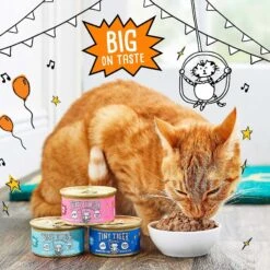 Tiny Tiger Chunks In EXTRA Gravy Tuna Recipe Grain-Free Canned Cat Food & Tiny Tiger Tuna Tidbits Flavor Filled Cat Treats -Furry Friends 303746 PT2. AC SS1800 V1623035855