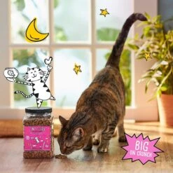 Tiny Tiger Pate Beef & Poultry Recipes Variety Pack Grain-Free Canned Cat Food & Tiny Tiger Crunchy Bunch, Fearless Feathers & Gracious Gills, Chicken & Seafood Flavor Cat Treats -Furry Friends 303752 PT7. AC SS1800 V1623066763