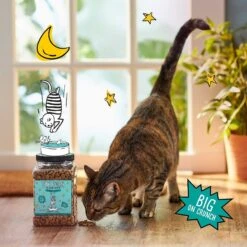 Tiny Tiger Pate Seafood Recipes Variety Pack Grain-Free Canned Cat Food & Tiny Tiger Crunchy Bunch, Fins Of Fury, Seafood Flavor Cat Treats -Furry Friends 303758 PT7. AC SS1800 V1623070957