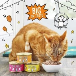Tiny Tiger Pate Turkey & Giblets Recipe Grain-Free Canned Cat Food & Tiny Tiger Catnip Craze Flavor Filled Cat Treats 13 Tiny Tiger Pate Turkey & Giblets Recipe Grain-Free Canned Cat Food & Tiny Tiger Catnip Craze Flavor Filled Cat Treats -Furry Friends 303760 PT2. AC SS1800 V1623077864