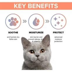 PetO'Cera Cat Body Wash 10 PetO'Cera Cat Body Wash -Furry Friends 304904 PT3. AC SS1800 V1626394638