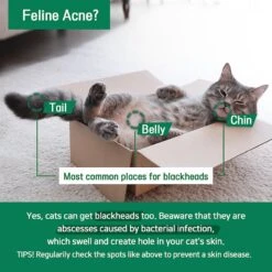 PetO'Cera Cica Toner Cat Acne & Blackhead Treatment, 7.1-oz Bottle -Furry Friends 304915 PT3. AC SS1800 V1626388570