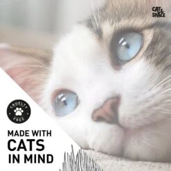 Cat Space Catnip Herbal Cat Shampoo, 10-oz Bottle 11 Cat Space Catnip Herbal Cat Shampoo, 10-oz Bottle -Furry Friends 307884 PT4. AC SS1800 V1624661578