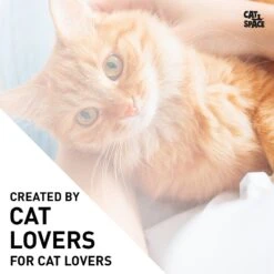 Cat Space Odor Gone Cat Spray, 17-oz Bottle 12 Cat Space Odor Gone Cat Spray, 17-oz Bottle -Furry Friends 307896 PT4. AC SS1800 V1624662479