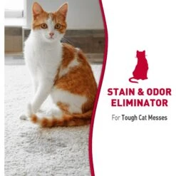 Nature's Miracle Advanced Cat Enzymatic Stain Remover & Odor Eliminator Foam, 17.5-oz Bottle -Furry Friends 307967 PT2. AC SS1800 V1627347712