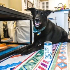 PL360 Odor Neutralizing Citrus Scented Carpet Powder 11 PL360 Odor Neutralizing Citrus Scented Carpet Powder -Furry Friends 308111 PT3. AC SS1800 V1650010911