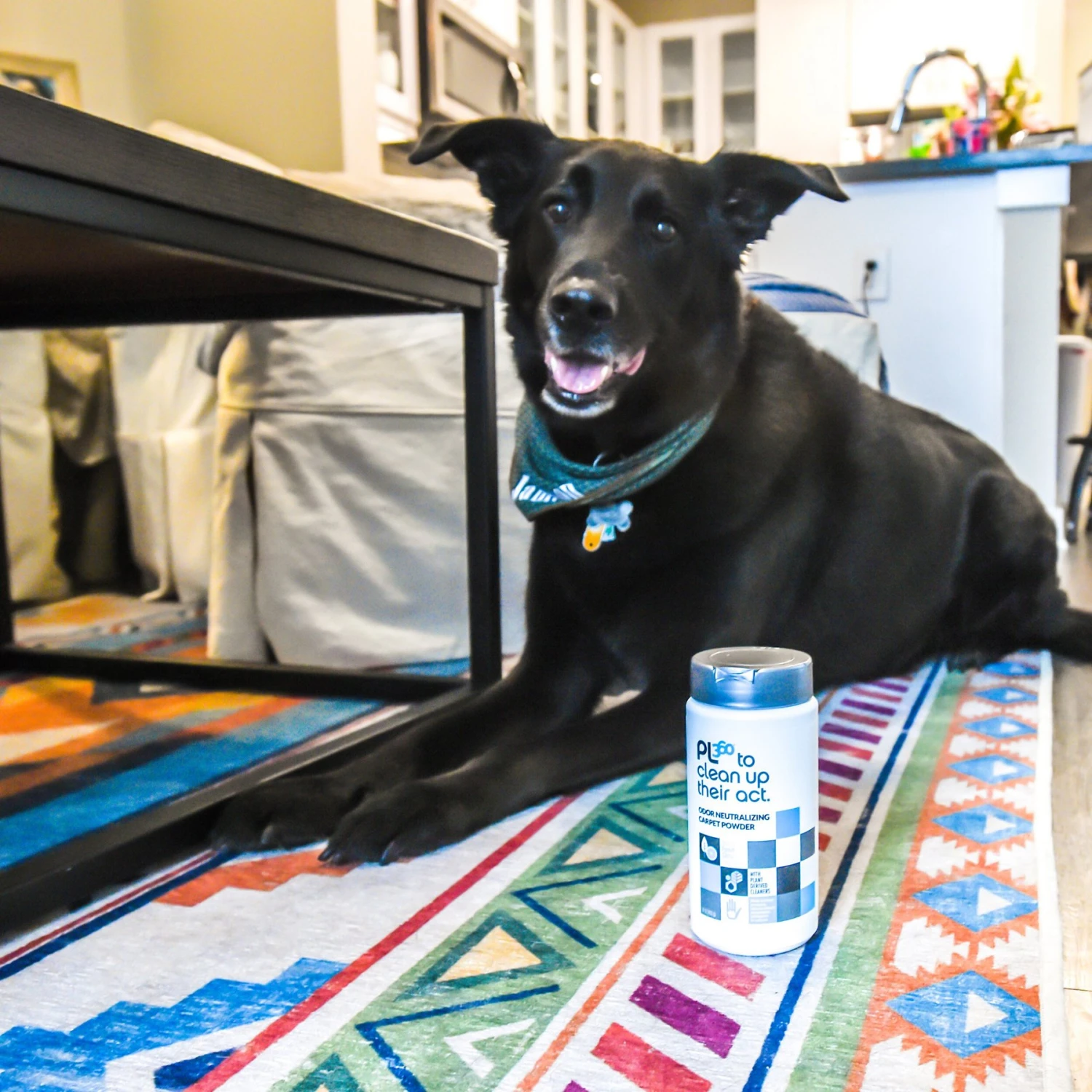 PL360 Odor Neutralizing Citrus Scented Carpet Powder 6 PL360 Odor Neutralizing Citrus Scented Carpet Powder - Image 4