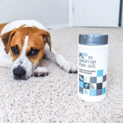 PL360 Odor Neutralizing Citrus Scented Carpet Powder 12 PL360 Odor Neutralizing Citrus Scented Carpet Powder -Furry Friends 308111 PT4. AC SS1800 V1650010073