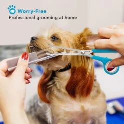 Boshel 7-in Dog Thinning Shears -Furry Friends 309505 PT4. AC SS1800 V1624490006