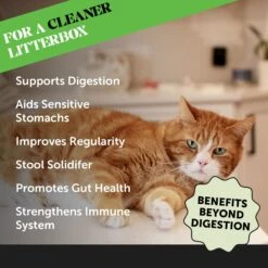 PetHonesty Digestive Probiotics+ Premium Gut + Immune Health Cat Supplement -Furry Friends 309756 PT1. AC SS1800 V1690899440