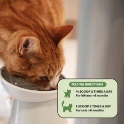 PetHonesty Digestive Probiotics+ Premium Gut + Immune Health Cat Supplement -Furry Friends 309756 PT4. AC SS1800 V1691002972