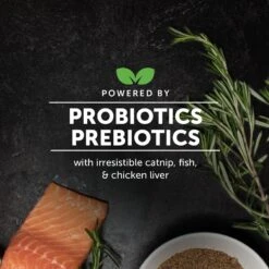 PetHonesty Digestive Probiotics+ Premium Gut + Immune Health Cat Supplement -Furry Friends 309756 PT5. AC SS1800 V1690997254