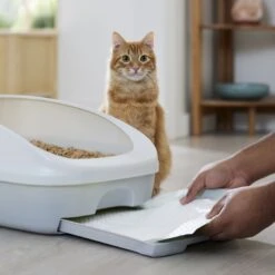 Frisco Cat Litter Pads, Scented -Furry Friends 309828 PT5. AC SS1800 V1675280050