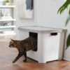 Frisco Multi-Function Covered Cat Litter Box, Jumbo -Furry Friends 309855 MAIN. AC SS1800 V1631817414