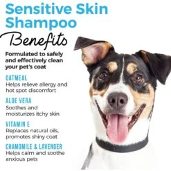 Shed Defender Sensitive Skin Oatmeal & Aloe Dog & Cat Shampoo, 16-oz Bottle -Furry Friends 310181 PT3. AC SS1800 V1624920489