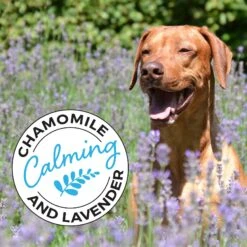 Shed Defender Sensitive Skin Oatmeal & Aloe Dog & Cat Shampoo, 16-oz Bottle -Furry Friends 310181 PT5. AC SS1800 V1624922877