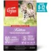 ORIJEN Free Run Chicken & Turkey, & Wild Caught Salmon & Herring Grain-Free Dry Kitten Food, 4-lb Bag