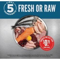 ORIJEN Guardian 8 Free Run Chicken, Wild Caught Salmon & Rabbit Adult Grain-Free Dry Cat Food 14 ORIJEN Guardian 8 Free Run Chicken, Wild Caught Salmon & Rabbit Adult Grain-Free Dry Cat Food -Furry Friends 311078 PT3. AC SS1800 V1689693080