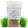 Rose & Branch Organic Wheat Cat Grass Seeds, 16-oz Pouch