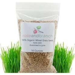 Rose & Branch Organic Wheat Cat Grass Seeds, 16-oz Pouch